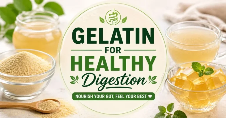 Gelatin for Healthy Digestion: Easy Guide & Tips
